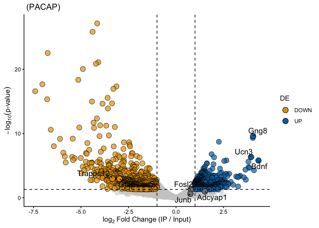 Volcano plot of IP vs INPUT enrichment in PACAP